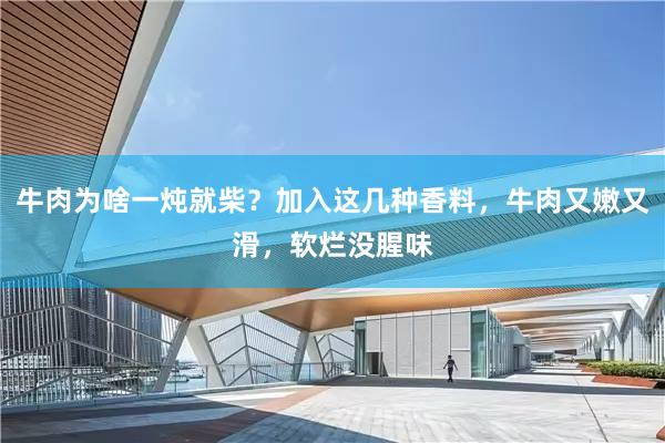 牛肉为啥一炖就柴？加入这几种香料，牛肉又嫩又滑，软烂没腥味