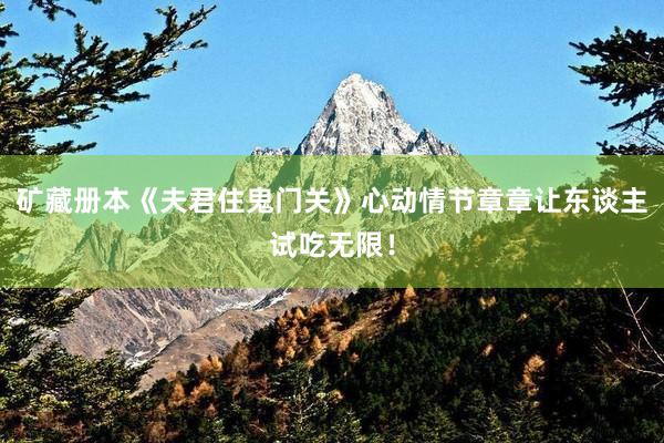 矿藏册本《夫君住鬼门关》心动情节章章让东谈主试吃无限！