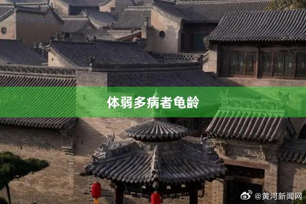 体弱多病者龟龄