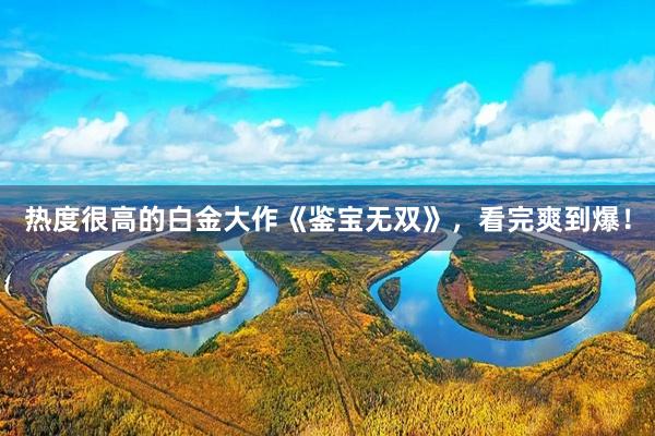 热度很高的白金大作《鉴宝无双》，看完爽到爆！