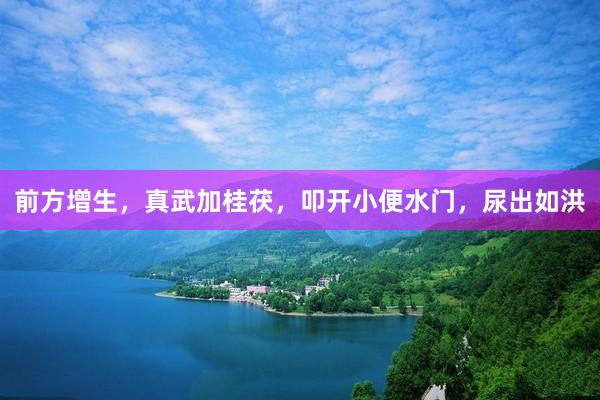 前方增生，真武加桂茯，叩开小便水门，尿出如洪