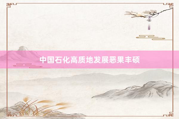 中国石化高质地发展恶果丰硕