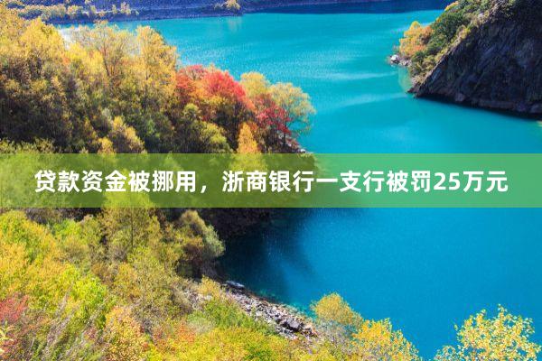 贷款资金被挪用，浙商银行一支行被罚25万元
