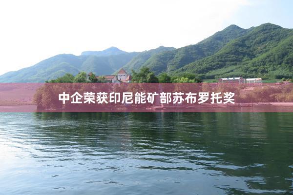 中企荣获印尼能矿部苏布罗托奖