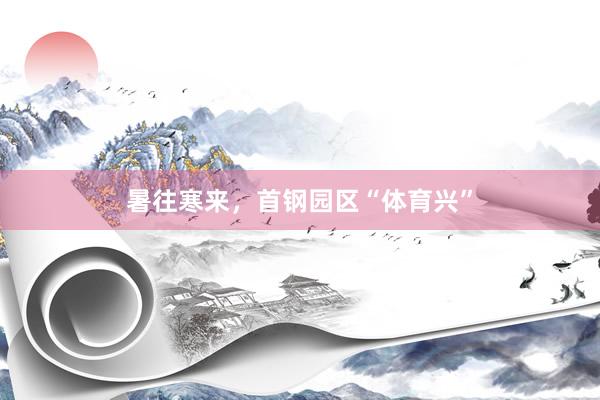 暑往寒来，首钢园区“体育兴”