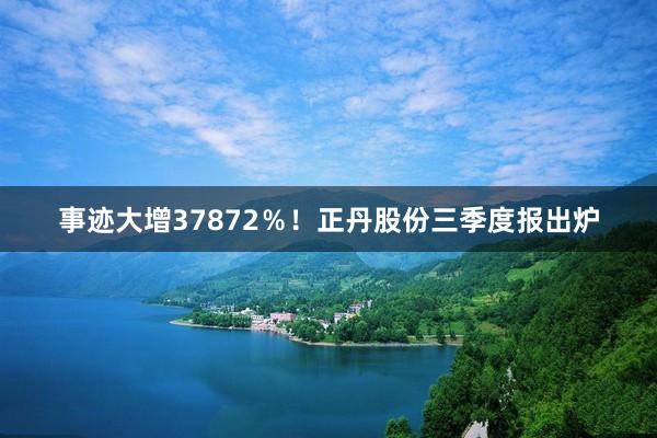 事迹大增37872％！正丹股份三季度报出炉