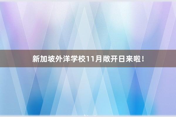 新加坡外洋学校11月敞开日来啦！