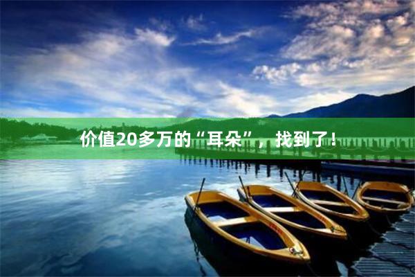 价值20多万的“耳朵”,找到了!
