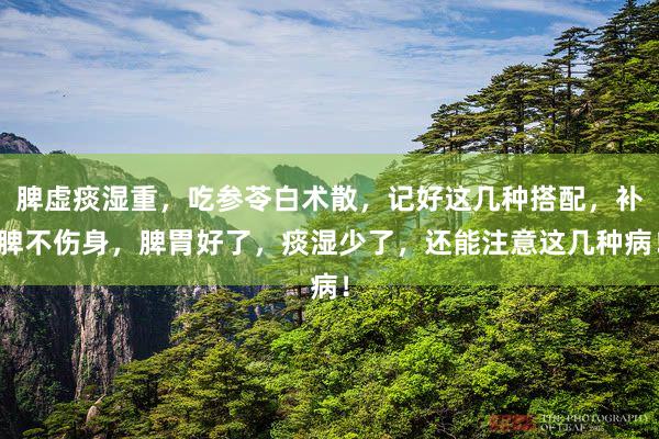 脾虚痰湿重，吃参苓白术散，记好这几种搭配，补脾不伤身，脾胃好了，痰湿少了，还能注意这几种病！