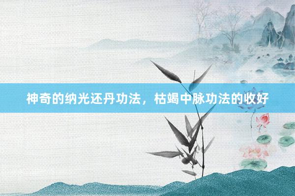 神奇的纳光还丹功法，枯竭中脉功法的收好