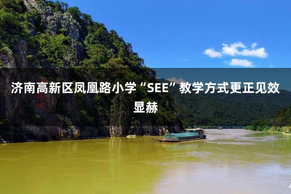 济南高新区凤凰路小学“SEE”教学方式更正见效显赫