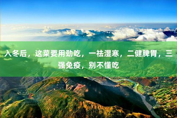 入冬后，这菜要用劲吃，一祛湿寒，二健脾胃，三强免疫，别不懂吃