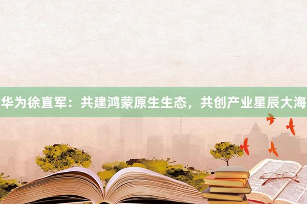 华为徐直军：共建鸿蒙原生生态，共创产业星辰大海