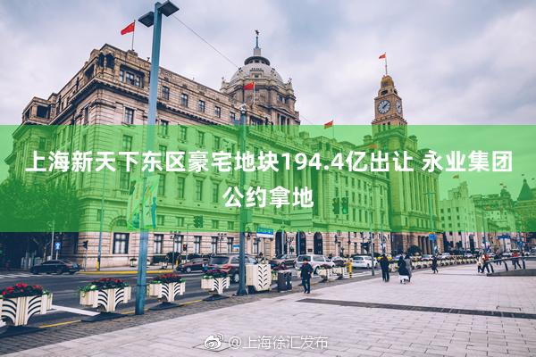 上海新天下东区豪宅地块194.4亿出让 永业集团公约拿地