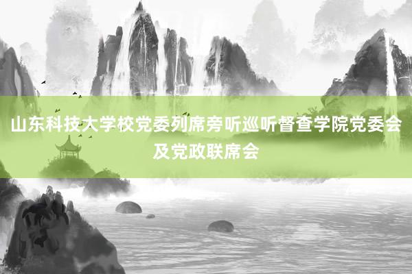 山东科技大学校党委列席旁听巡听督查学院党委会及党政联席会