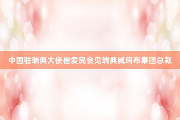 中国驻瑞典大使崔爱民会见瑞典威玛布集团总裁